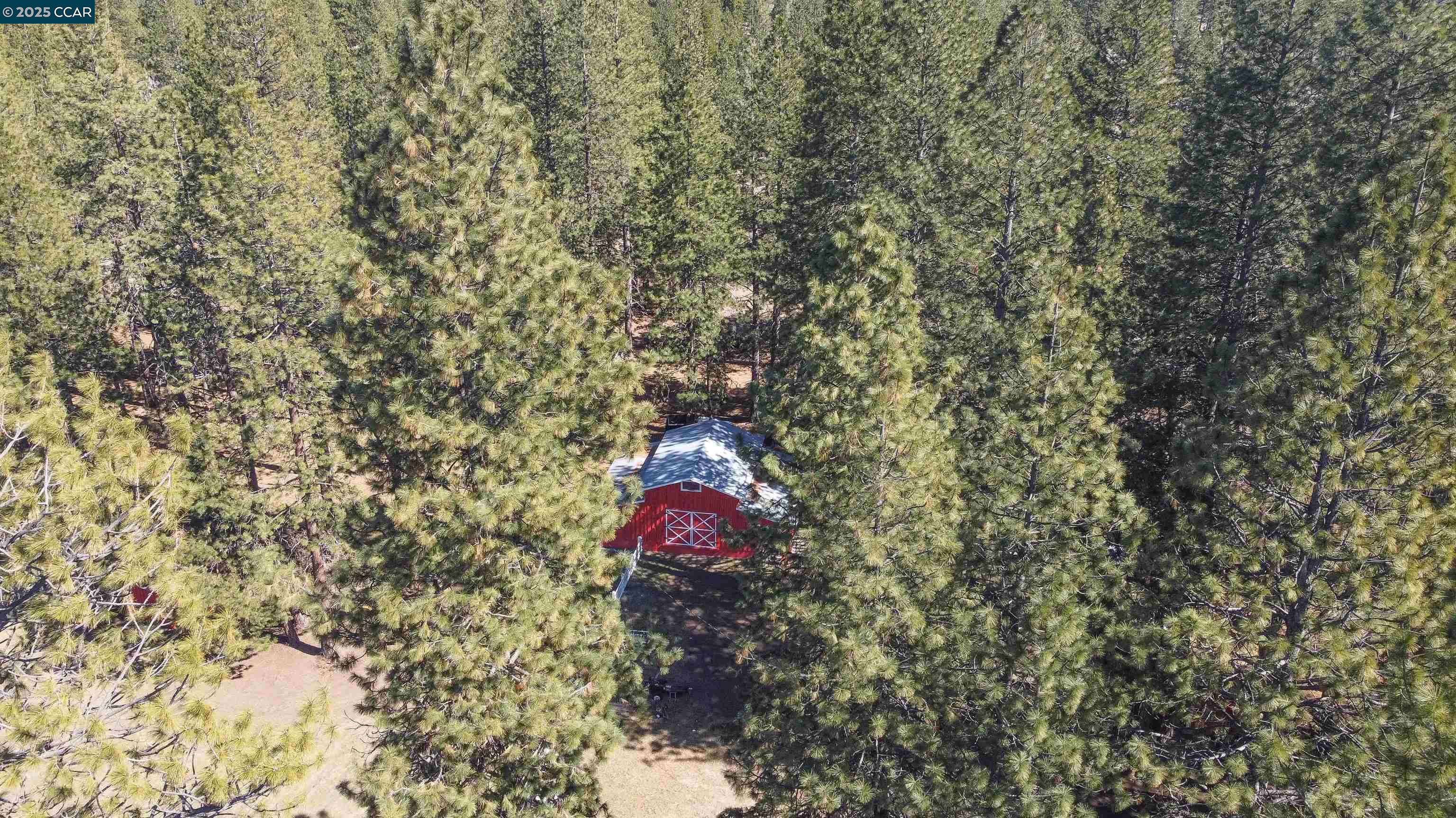 1324 Alves Road Weed, CA 96094 - Photo 50 of 58