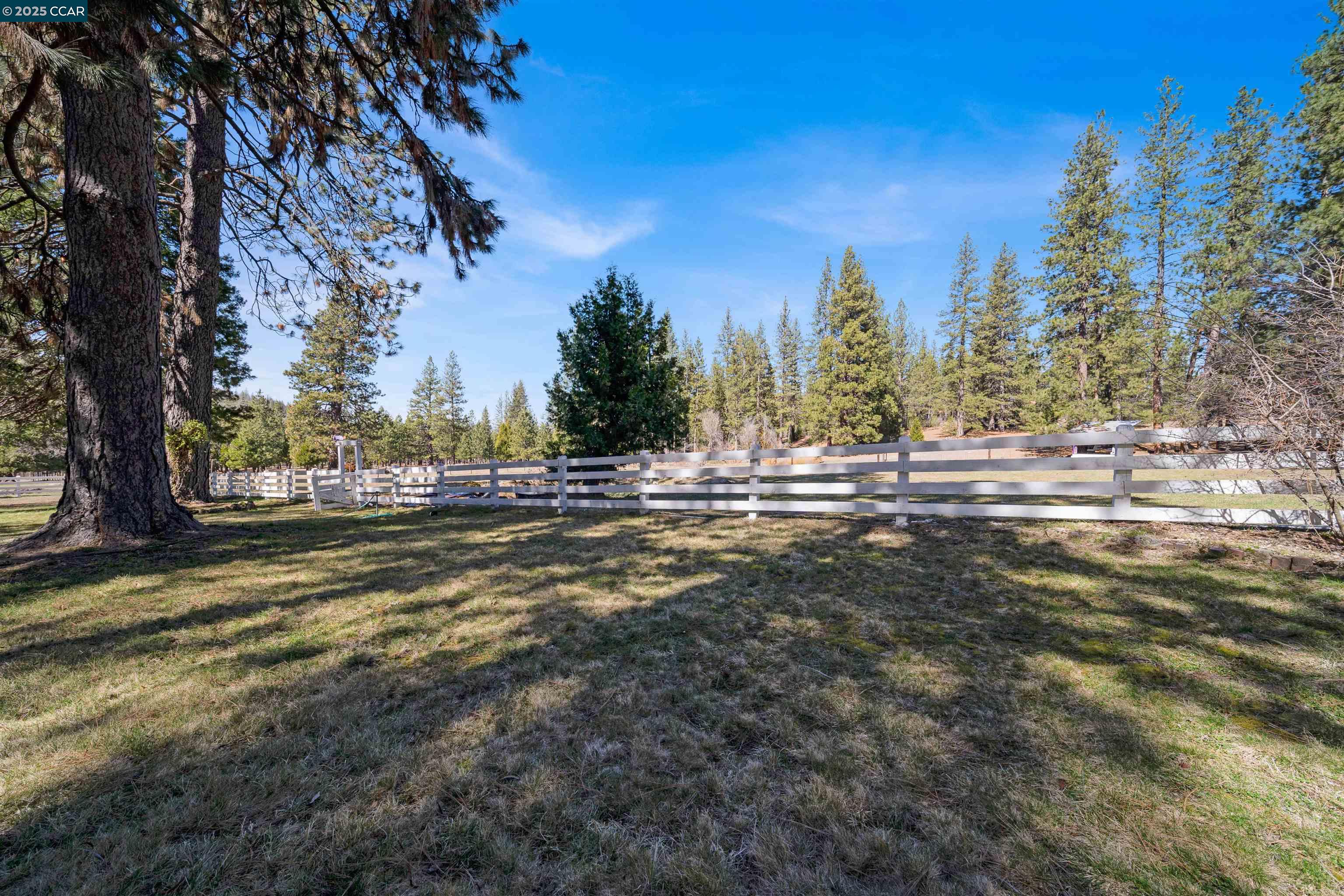 1324 Alves Road Weed, CA 96094 - Photo 52 of 58