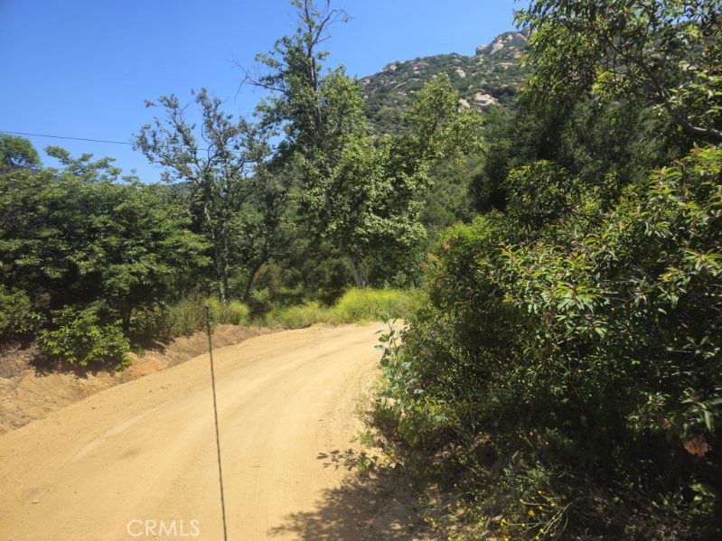 0 Sombrero Road Fallbrook, CA 92028 - Photo 11 of 16 a view of a yard with a tree