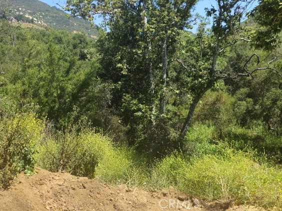 0 Sombrero Road Fallbrook, CA 92028 - Photo 15 of 16 a view of a yard with a tree