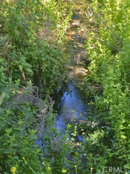 0 Sombrero Road Fallbrook, CA 92028 - Photo 16 of 16 a view of a garden with plants and large trees
