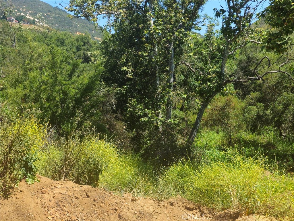 0 Sombrero Road Fallbrook, CA 92028 - Photo 3 of 16 a view of a yard with a tree