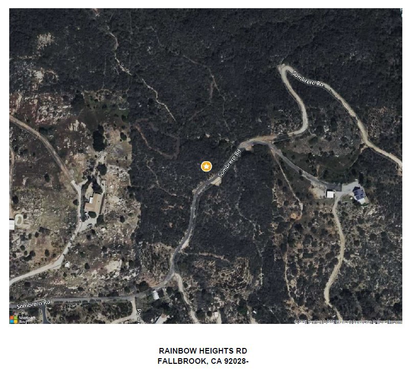 0 Sombrero Road Fallbrook, CA 92028 - Photo 5 of 16 a black and white photo of a tree