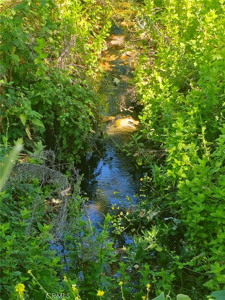 0 Sombrero Road Fallbrook, CA 92028 - Photo 10 of 16 a view of a yard