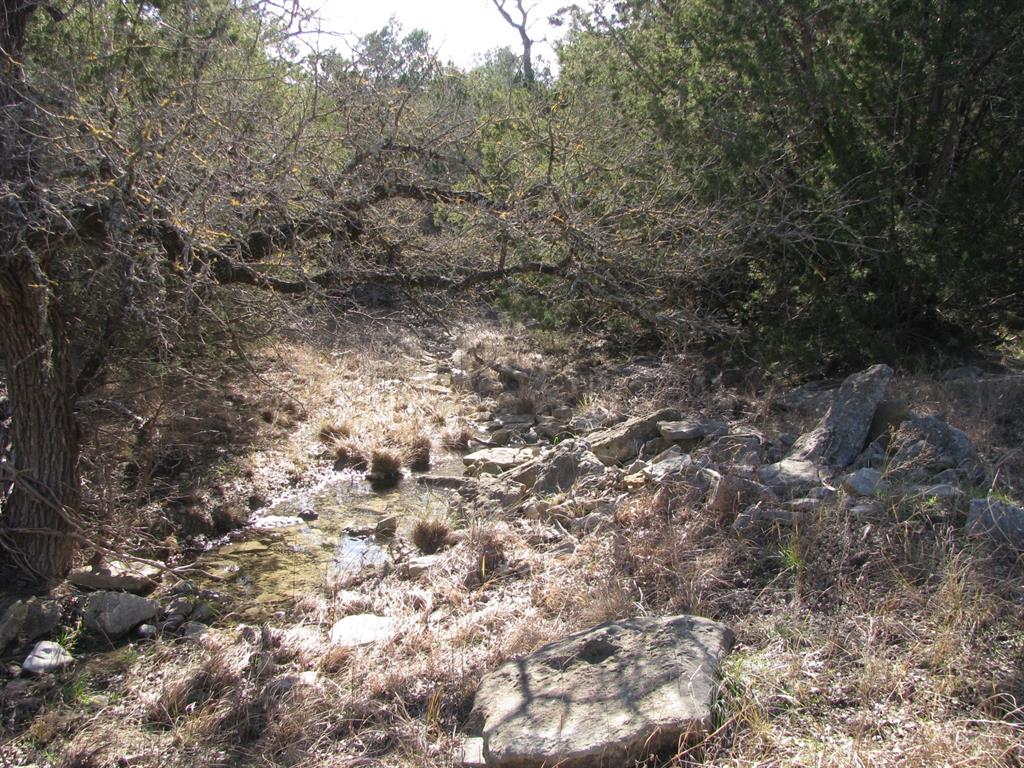 Lot 3-ph County Road 421 Evant, TX 76525 - Photo 10 of 27