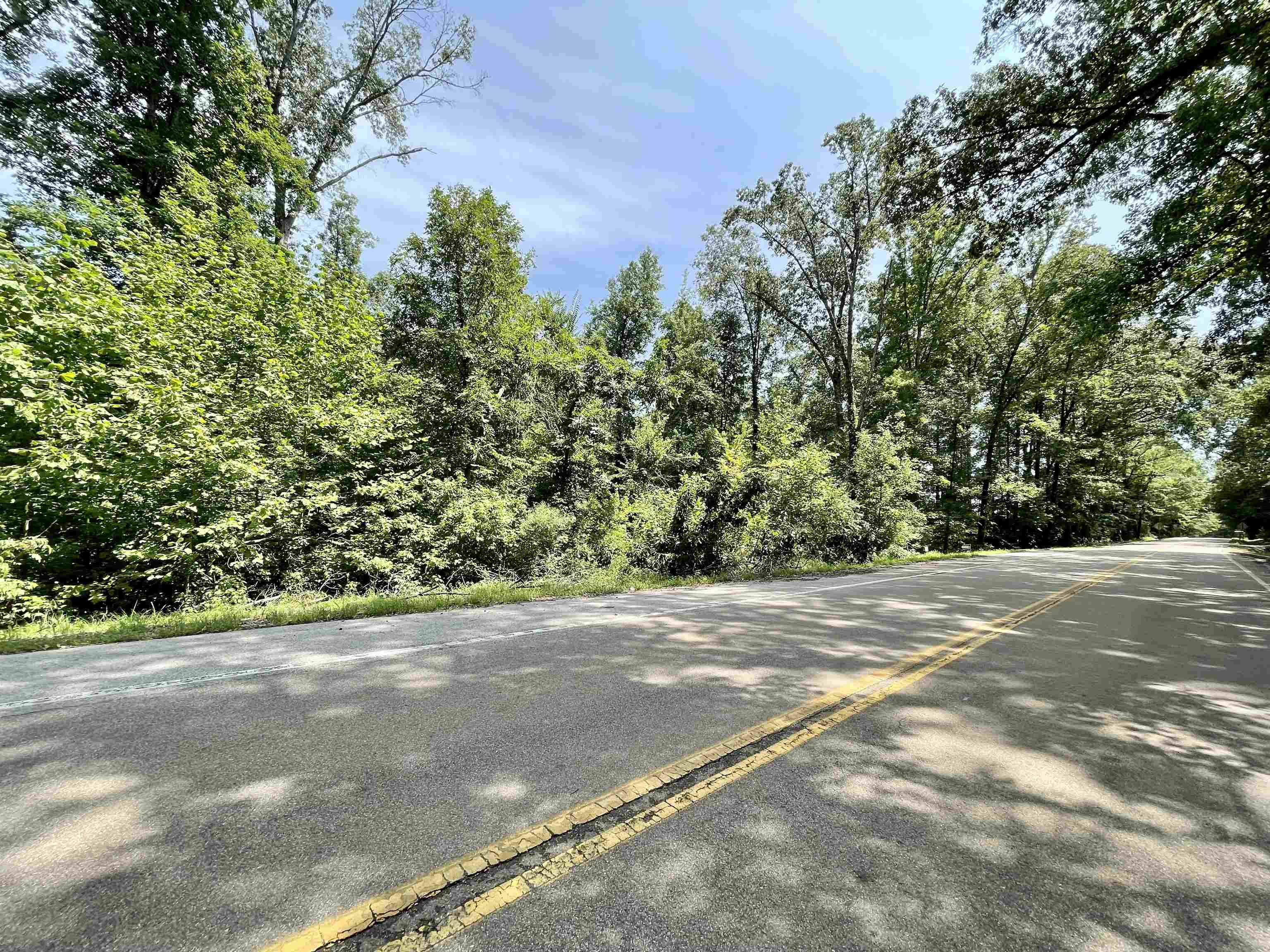0 Stanton Road Stanton, TN 38069 - Photo 12 of 18 a view of a yard with a tree