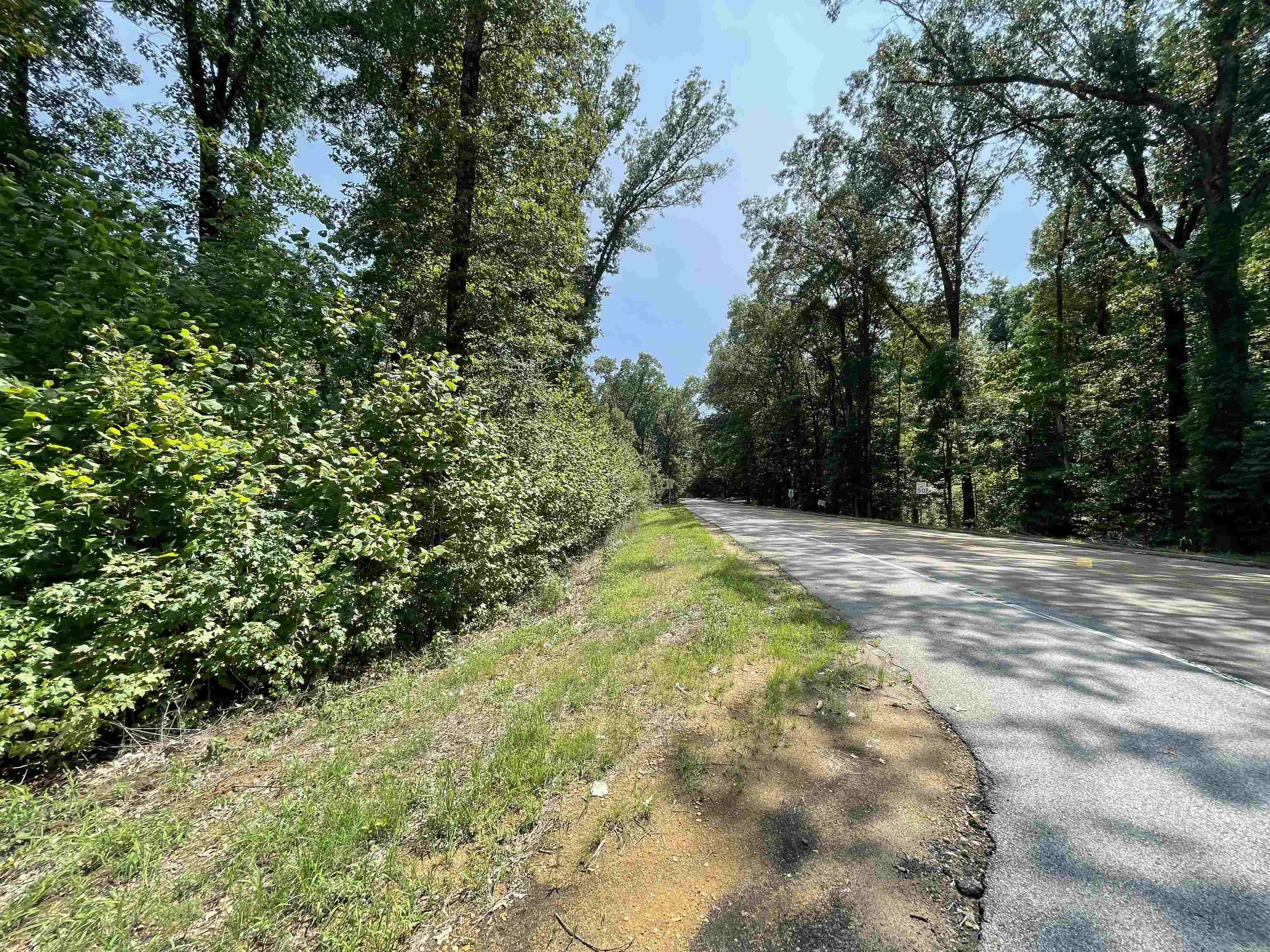 0 Stanton Road Stanton, TN 38069 - Photo 15 of 18 a view of a yard with trees
