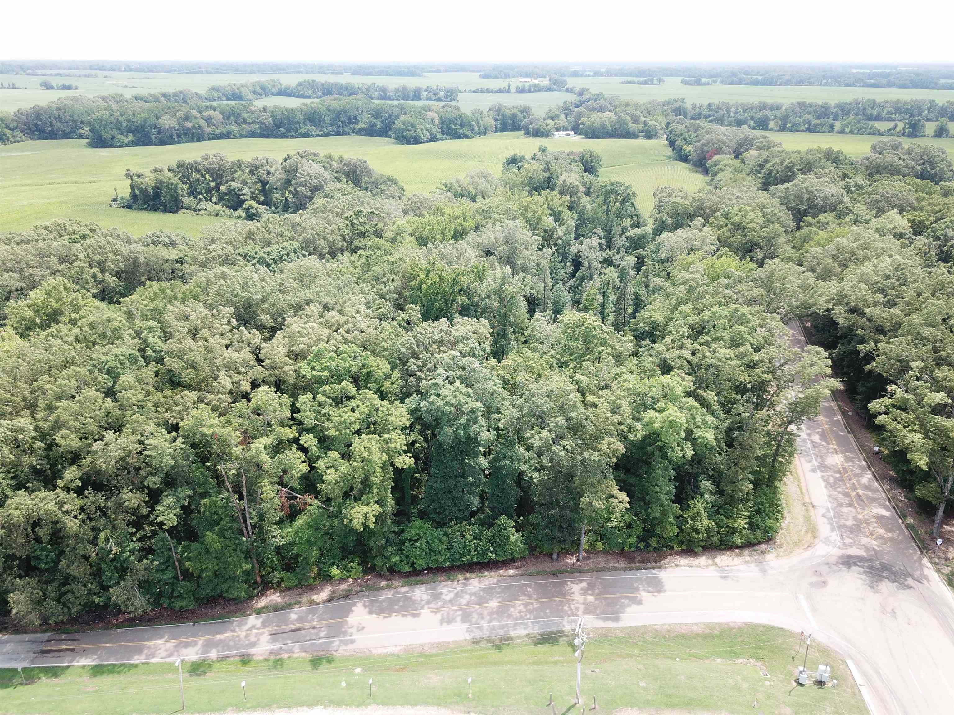 0 Stanton Road Stanton, TN 38069 - Photo 4 of 18 a view of a yard with an outdoor seating