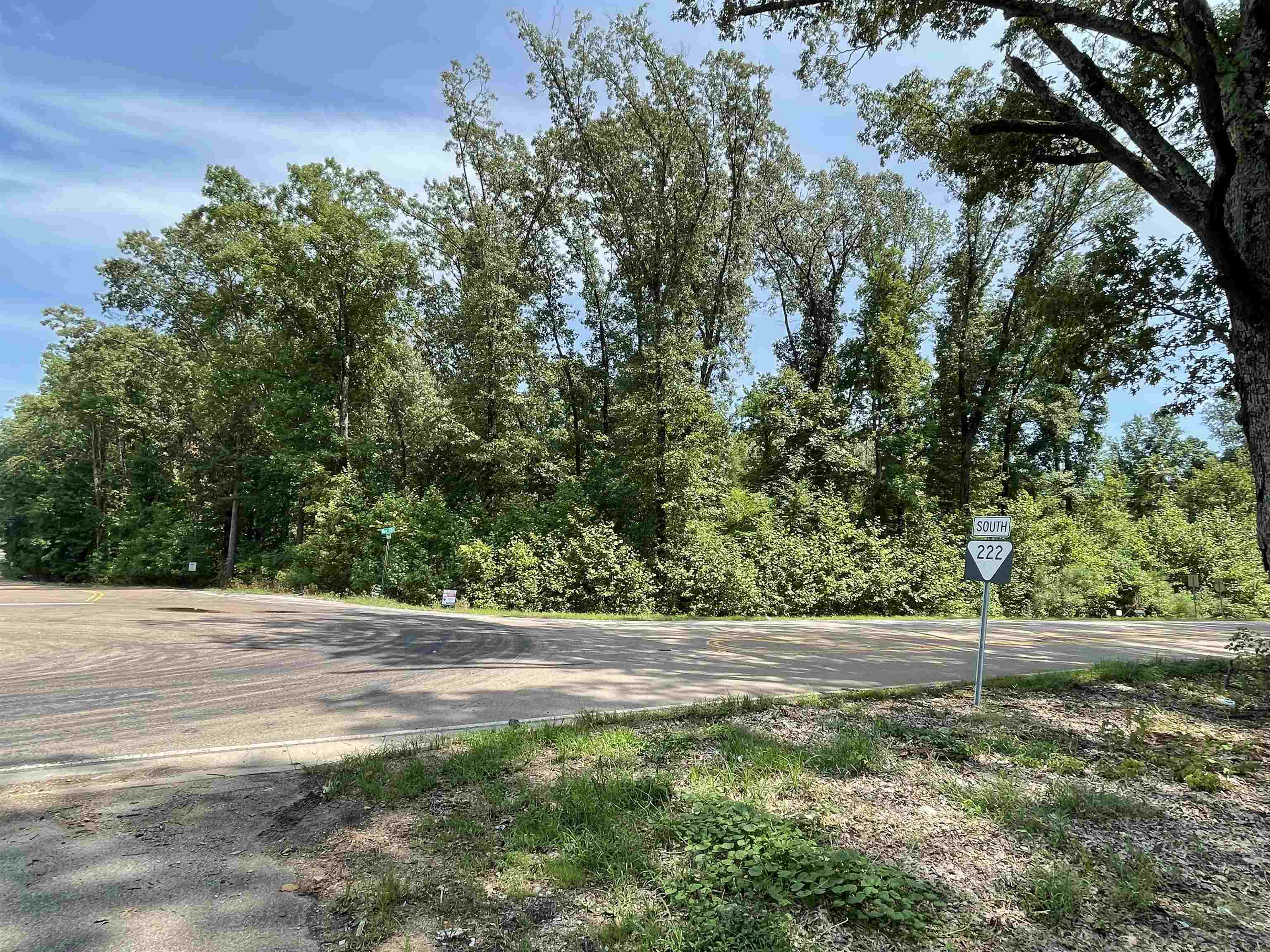 0 Stanton Road Stanton, TN 38069 - Photo 6 of 18 a view of plants and trees
