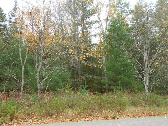 On Meadow Lane, Unit LOT 23 Rhinelander, WI 54501 - Photo 5 of 6 Gallery Image 5