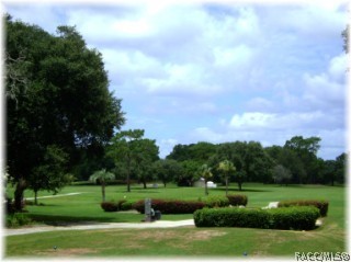 1504 North Foxboro Loop Crystal River, FL 34429 - Photo 49 of 52 Plentiful area golfing