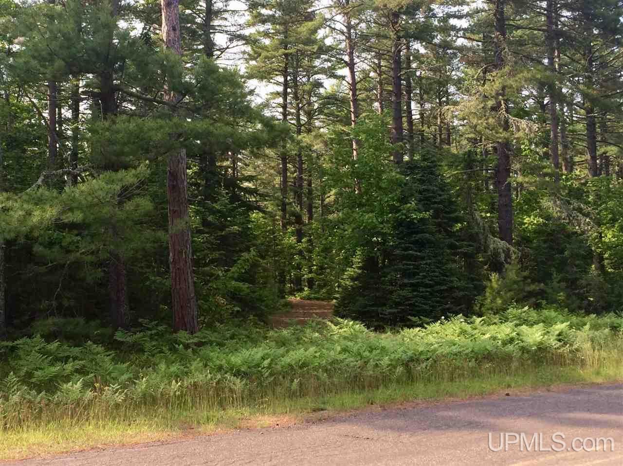 Tbd Bete Grise Road, Unit LOT 13 Mohawk, MI 49950 - Photo 4 of 18