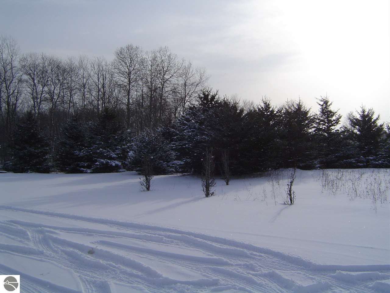 5818 Gleaner Hall Road Kingsley, MI 49649 - Photo 10 of 36 1779412-9.JPG