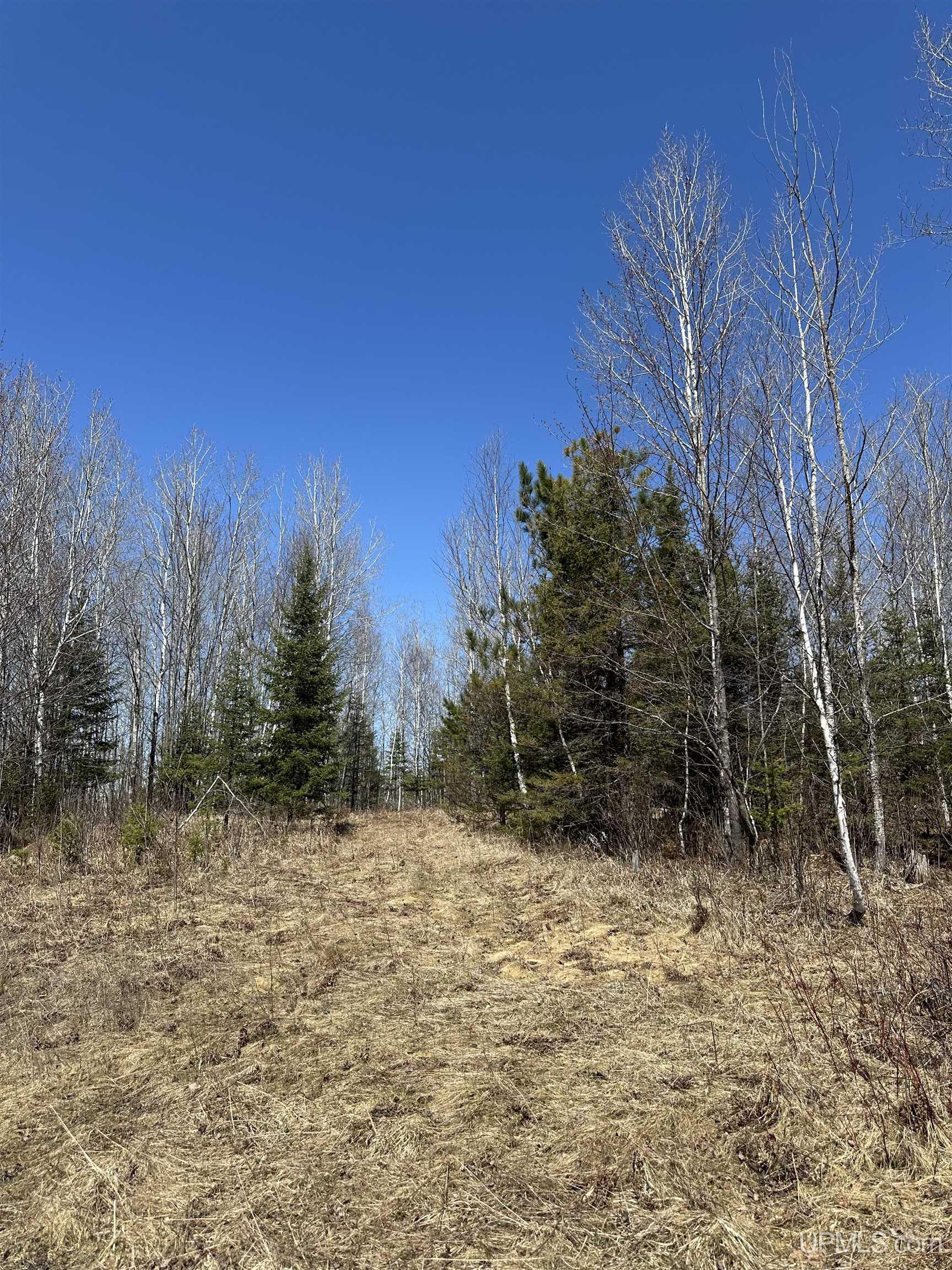 69 Old 69 Road Crystal Falls, MI 49920 - Photo 6 of 21