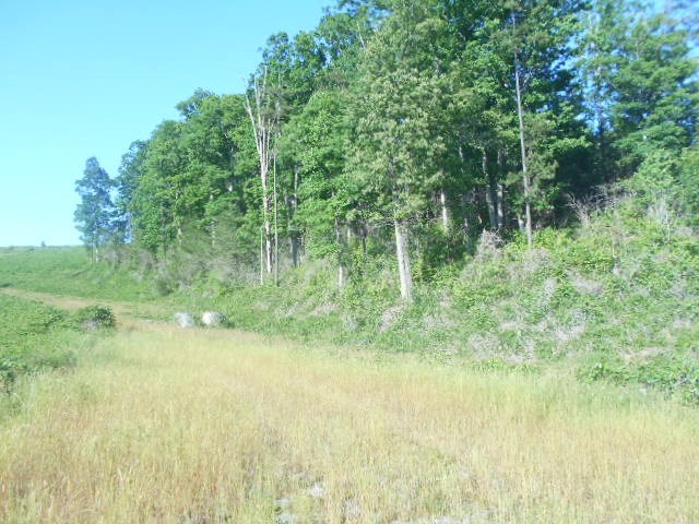 1650 Highway 30 Decatur, TN 37322 - Photo 4 of 6 Gallery Image 4