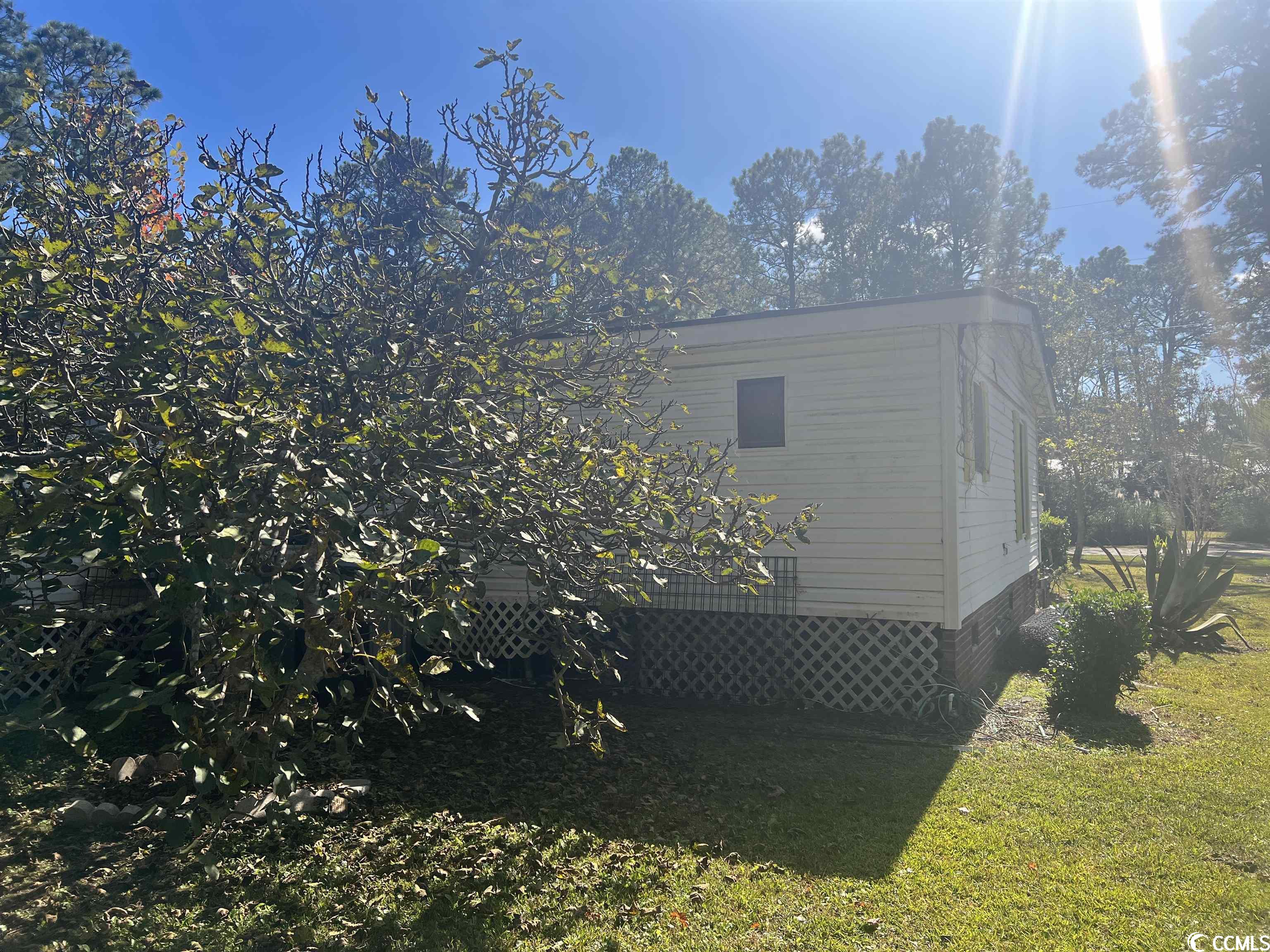 4119 Susie Lane Myrtle Beach, SC 29588 - Photo 5 of 8
