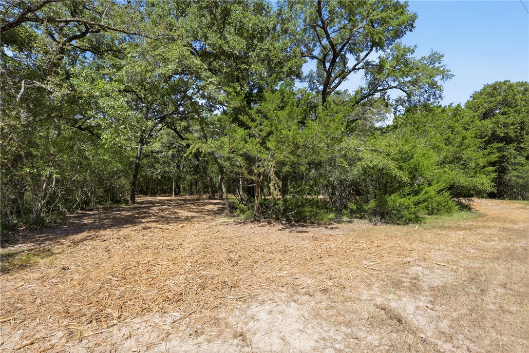 Tbd Grassbur Road Bryan, TX 77808 - Photo 3 of 18