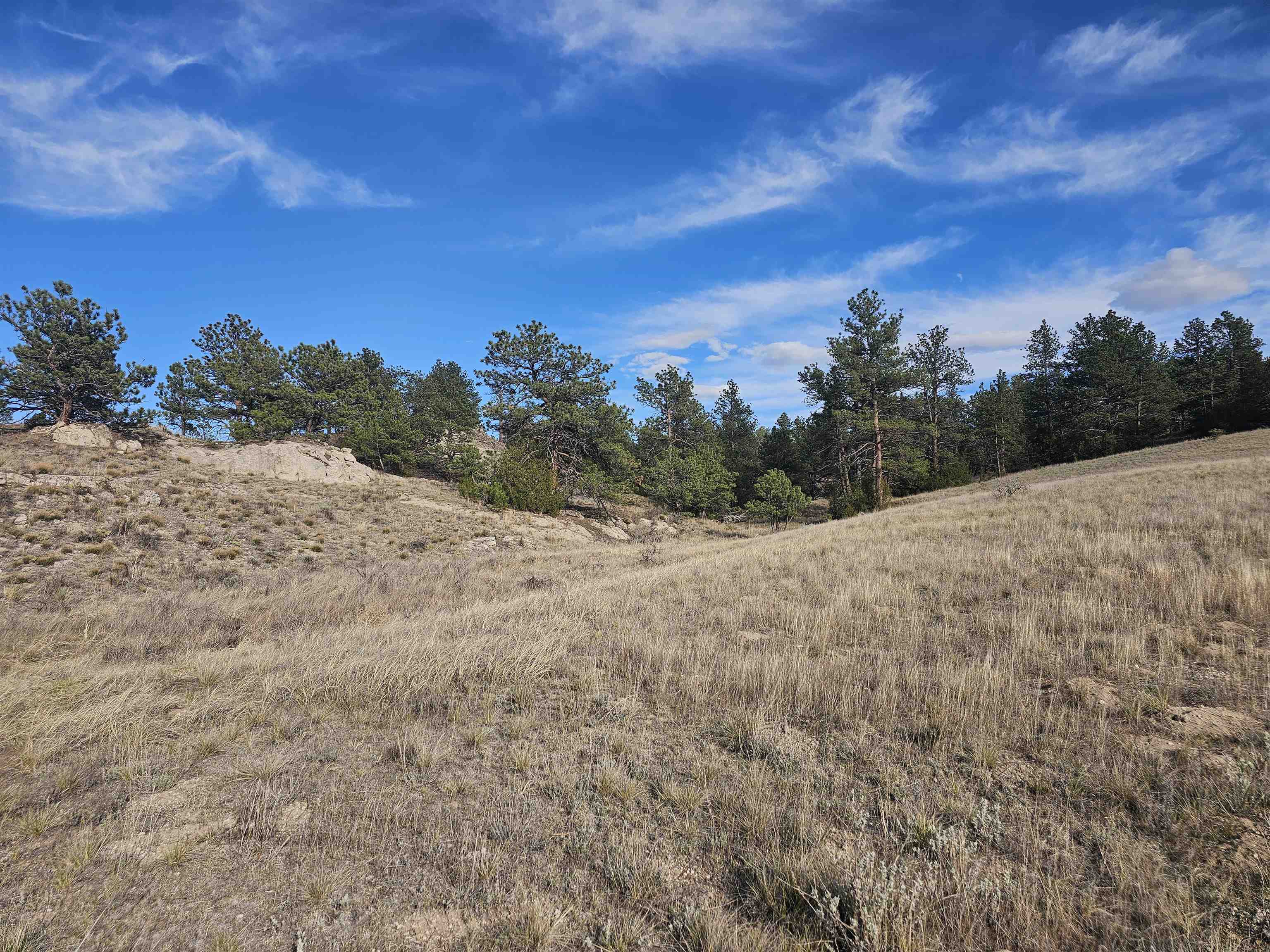 52 Wendover Road Guernsey, WY 82214 - Photo 16 of 42