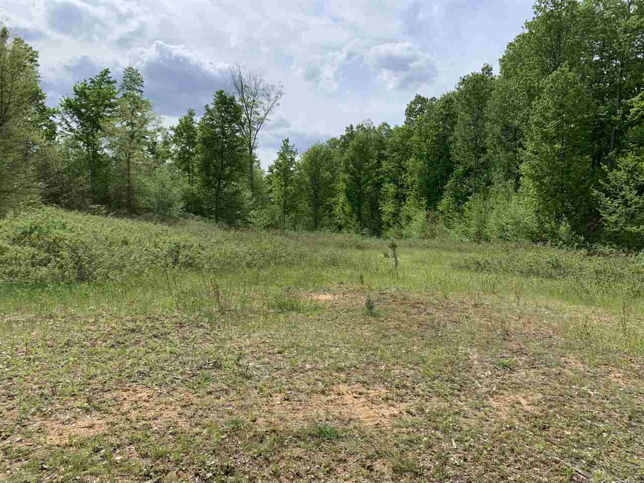 40 South 17 Road Boon, MI 49618 - Photo 20 of 33