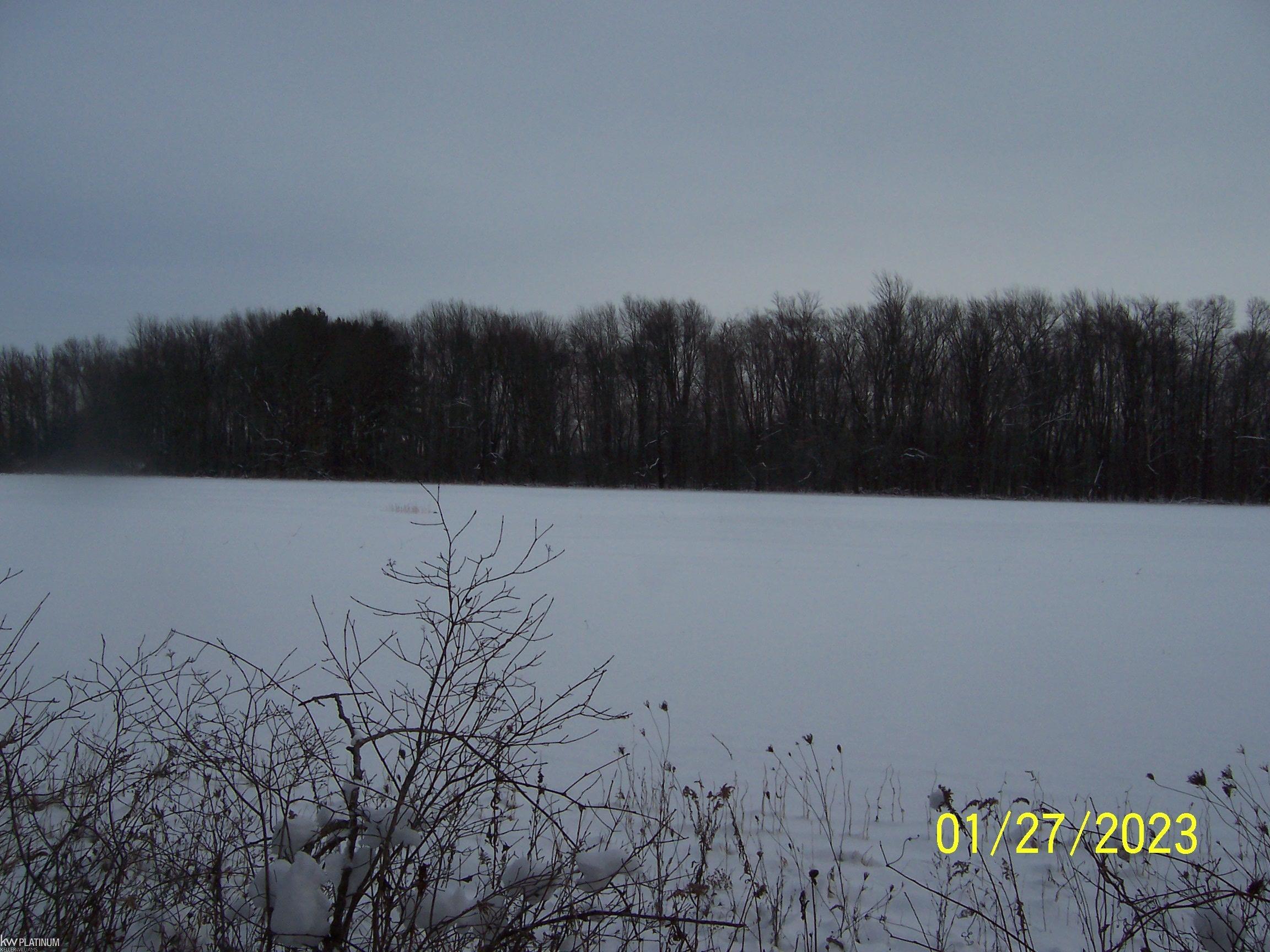 Cove Road Goodells, MI 48027 - Photo 1 of 3