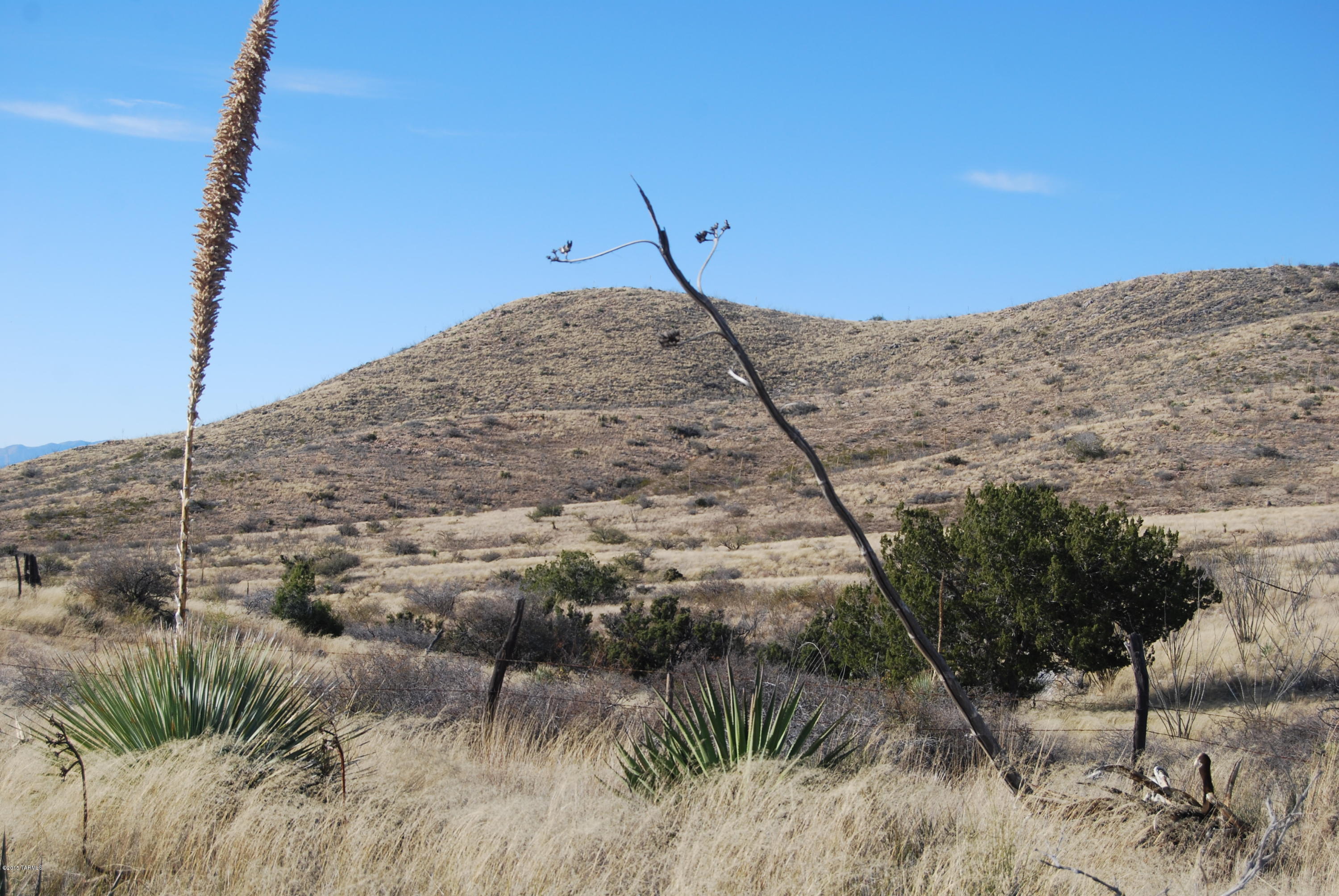 East Diamondback Road St. David, AZ 85630 - Photo 17 of 32