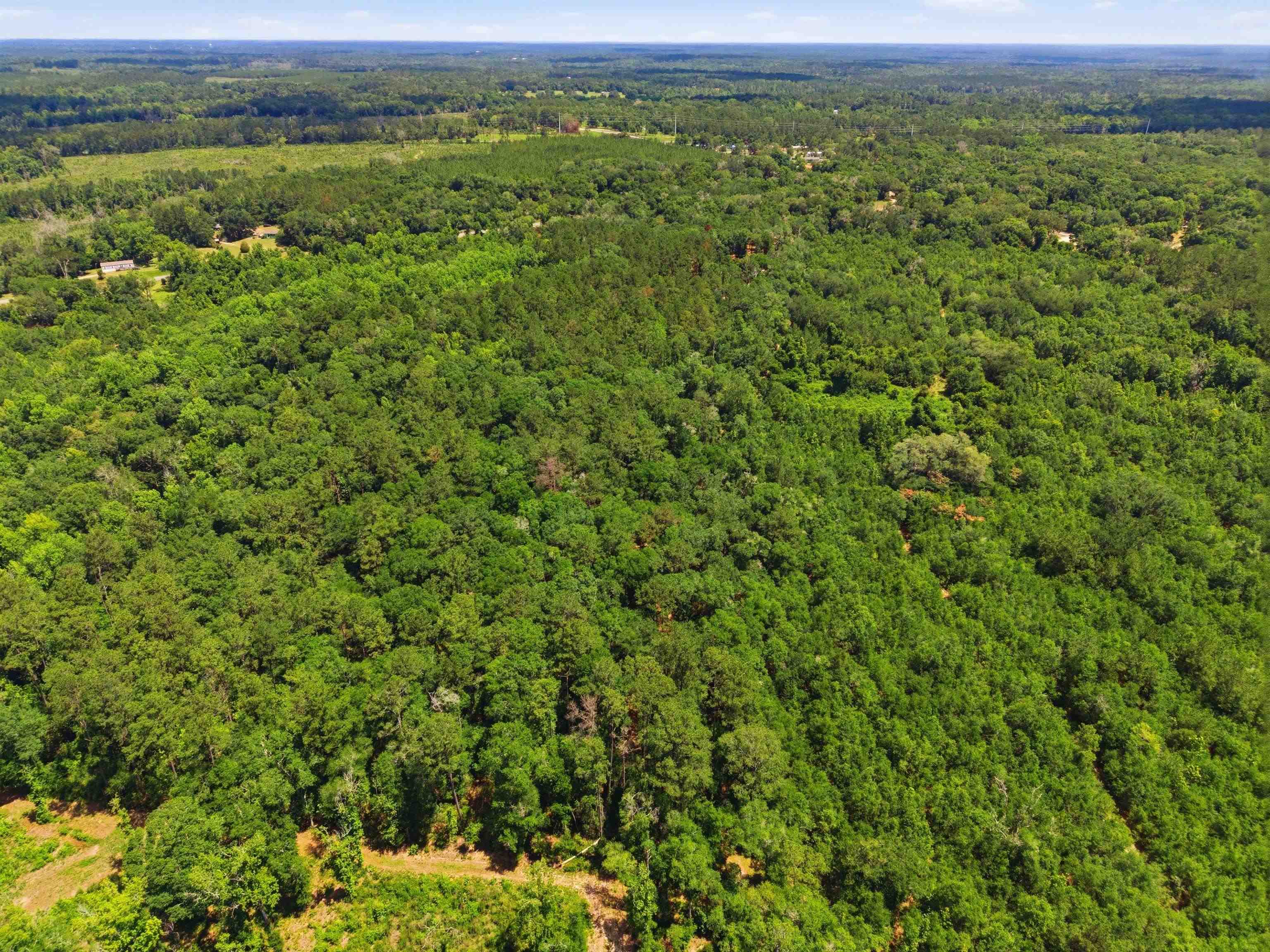 High Bridge Road Quincy, FL 32351 - Photo 11 of 20