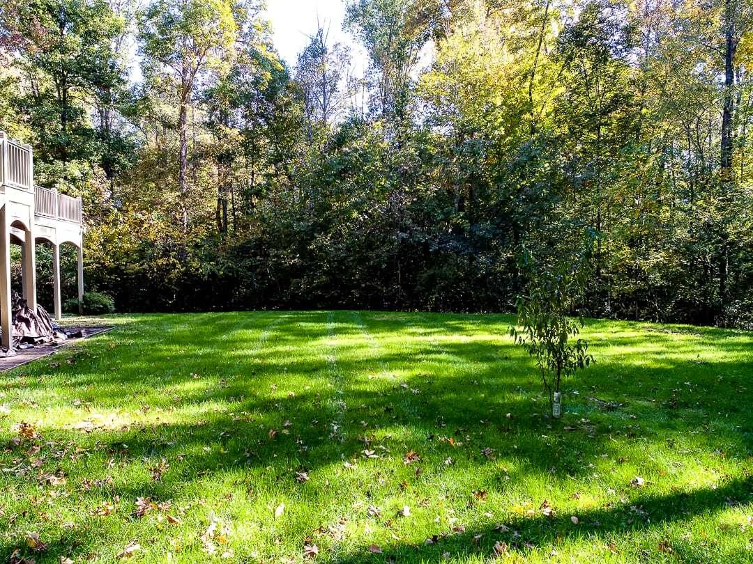 507 Smith Road Knoxville, TN 37934 - Photo 39 of 40 BACKYARD