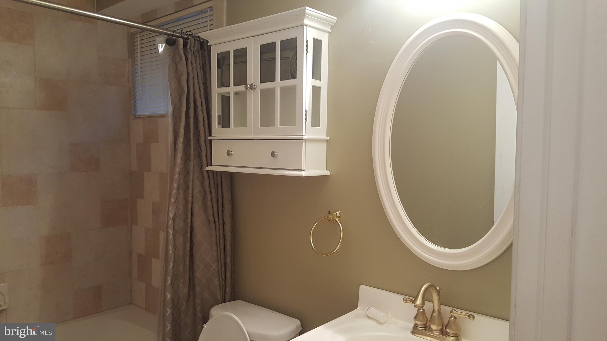 622 Cannon Road Silver Spring, MD 20904 - Photo 22 of 31 full bath with a tub in the basement