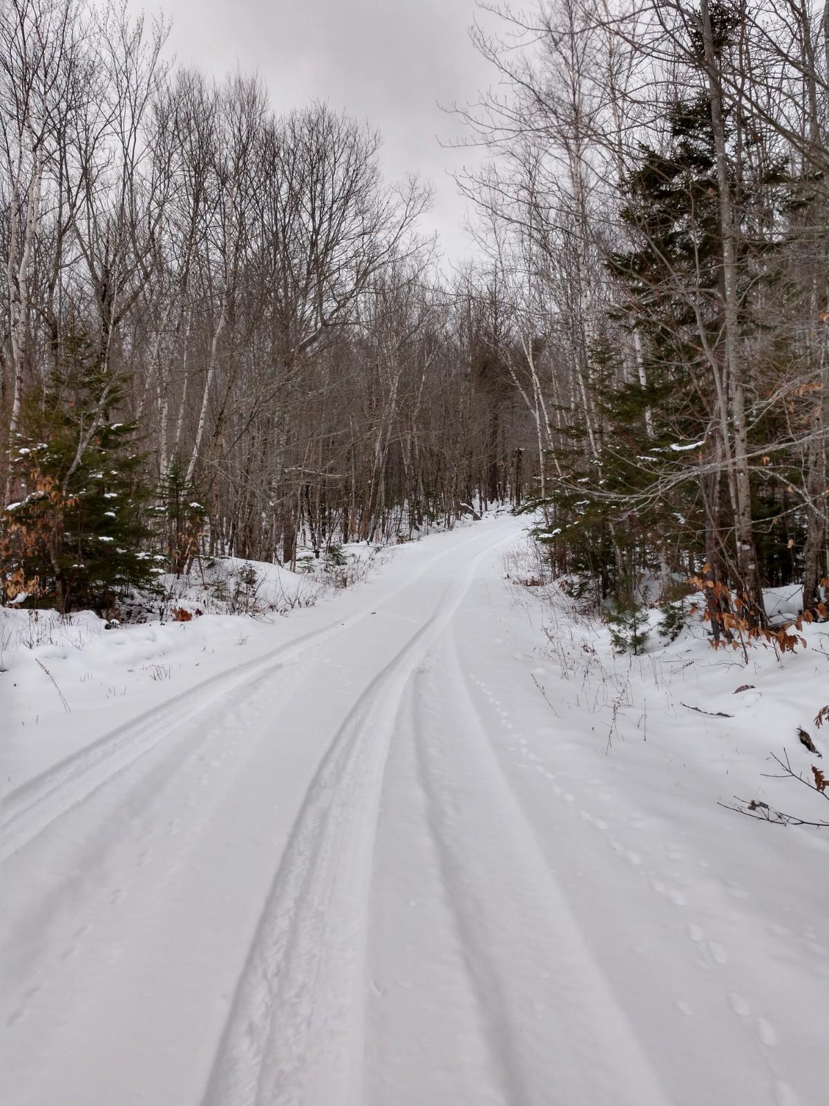 Lot 24 Hardwood Ridge Road Deblois, ME 04622 - Photo 5 of 8 IMG_20200110_102600490_HDR