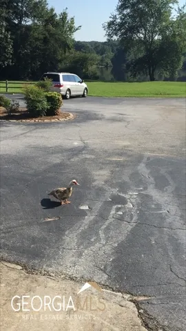 a car parked on the side of the road