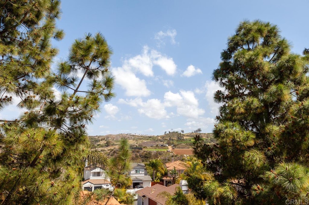 5560 Foxtail Loop Carlsbad, CA 92010 - Photo 28 of 32 a view of a city