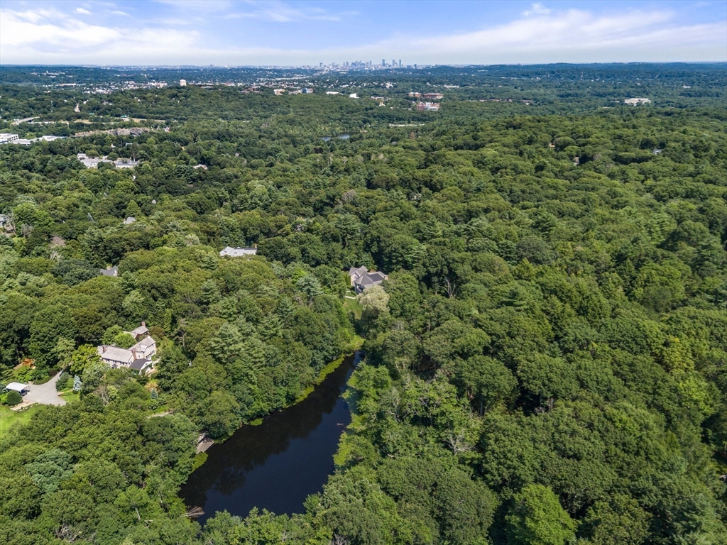 33 Skating Pond Road Weston, MA 02493 - Photo 36 of 39