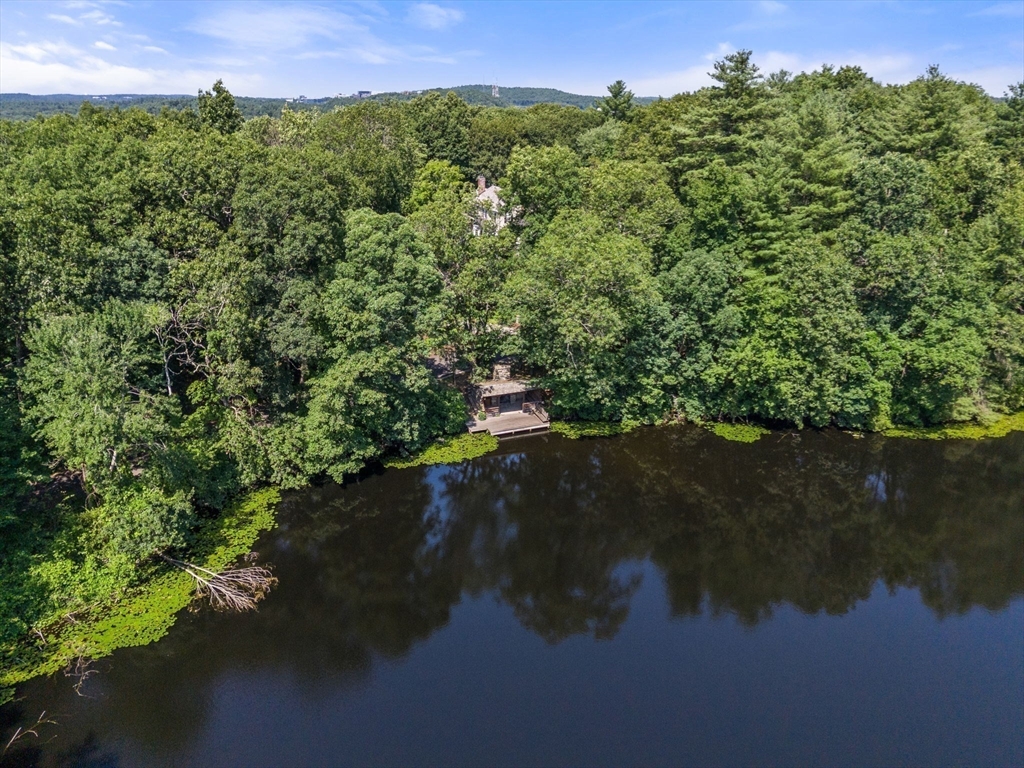 33 Skating Pond Road Weston, MA 02493 - Photo 38 of 39