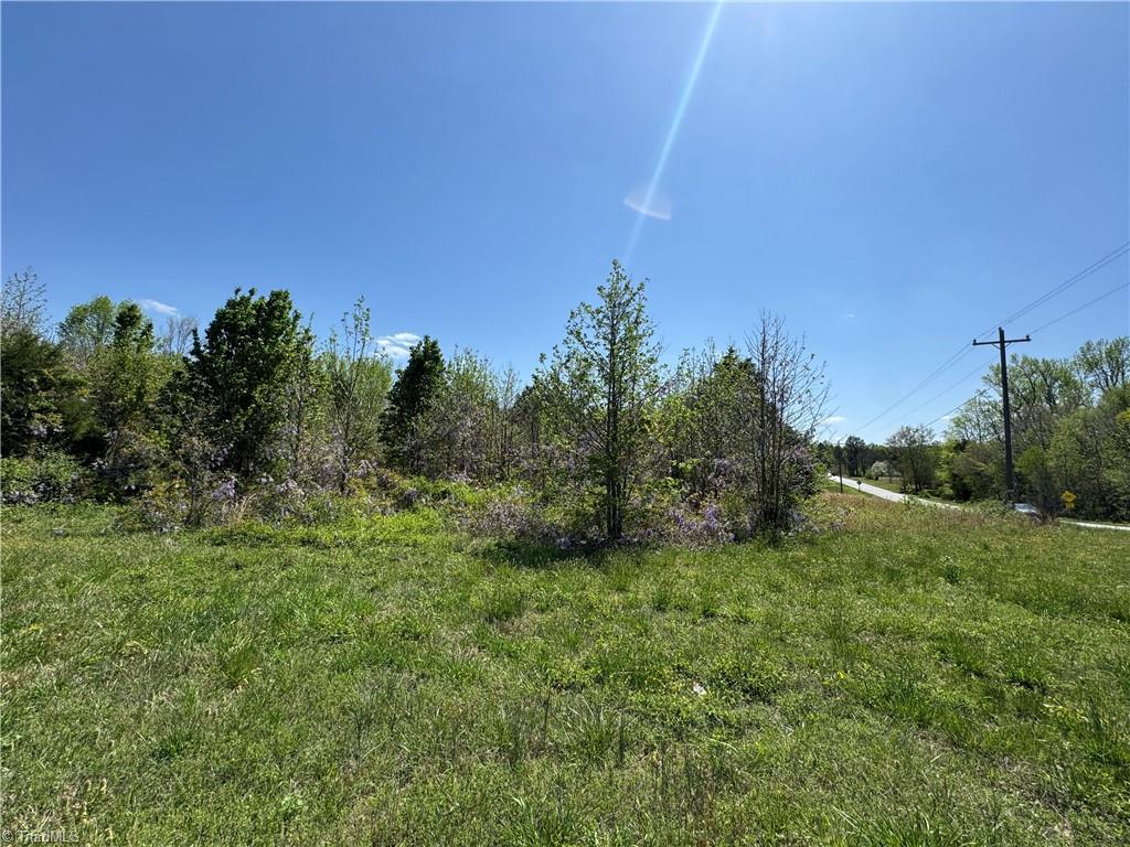 0 Tom Hill Road High Point, NC 27263 - Photo 5 of 10 Side view from 311 side of property