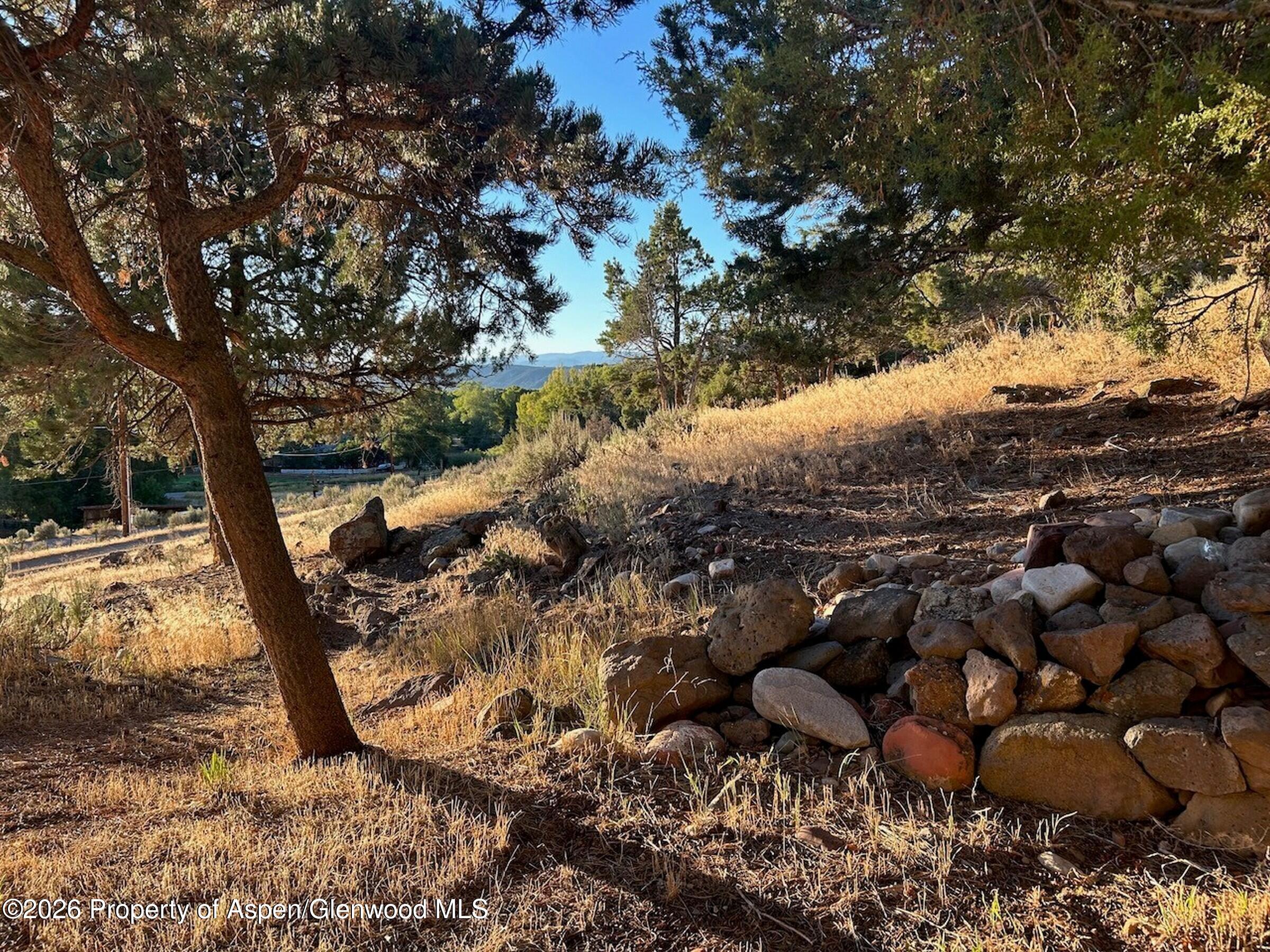 422 Sopris Creek Road Basalt, CO 81621 - Photo 66 of 74 View 4