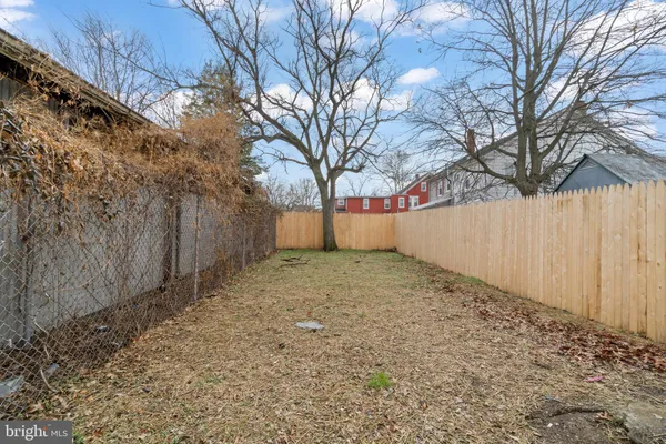 a view of backyard and tree