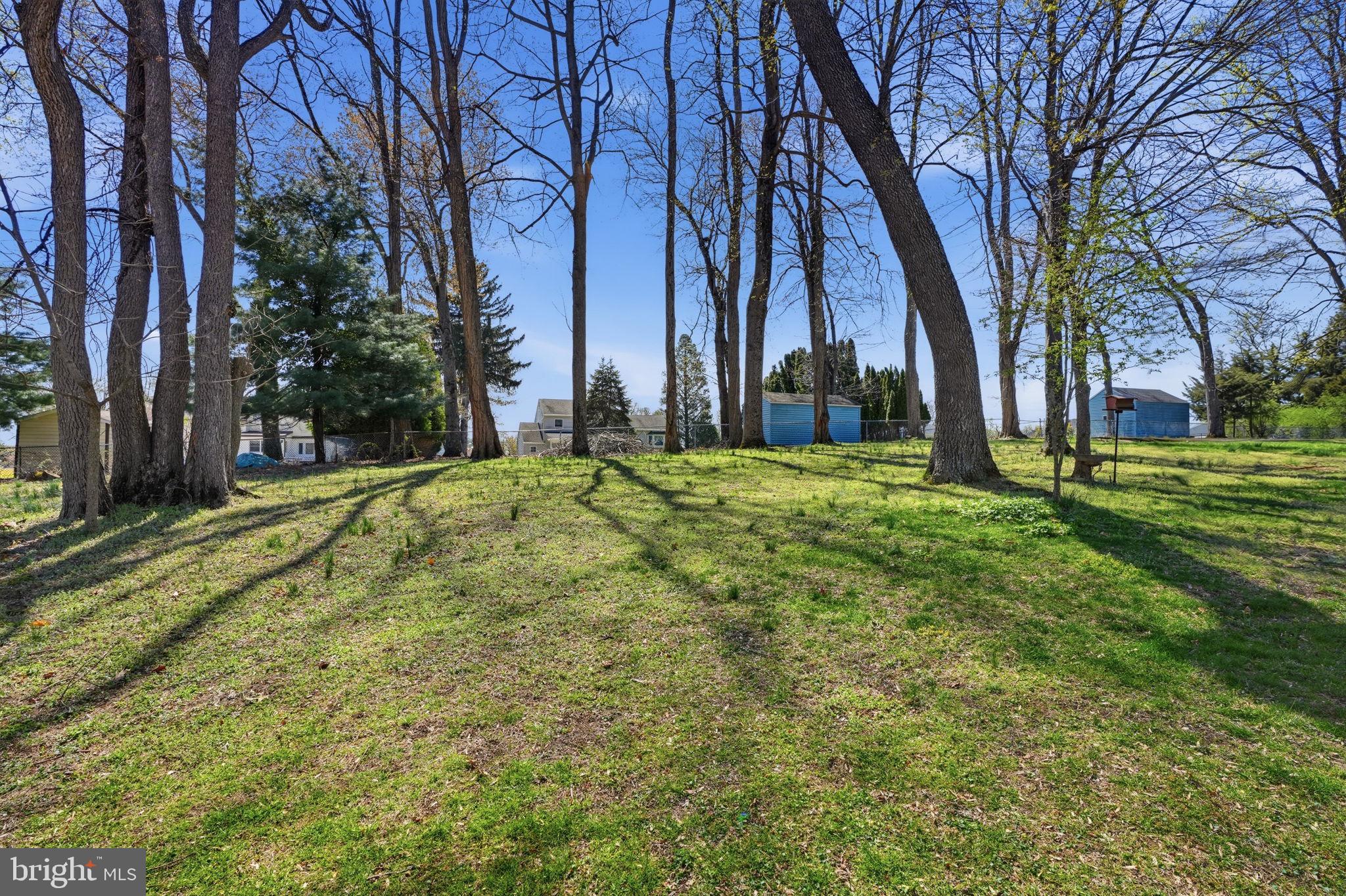 739 Bridgeview Road Feasterville-Trevose, PA 19053 - Photo 29 of 46 a large tree in middle of the green field