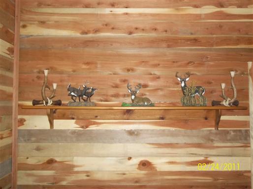 0 Walden Ridge Road Manchester, TN 37355 - Photo 18 of 19