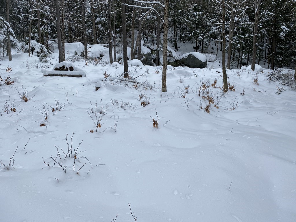 0 Spruce Corner Road Ashfield, MA 01330 - Photo 2 of 4 Gallery Image 2