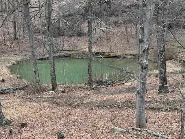 1898 Schellsburg Road Claysburg, PA 16625 - Photo 49 of 50 a view of a lake next to a building