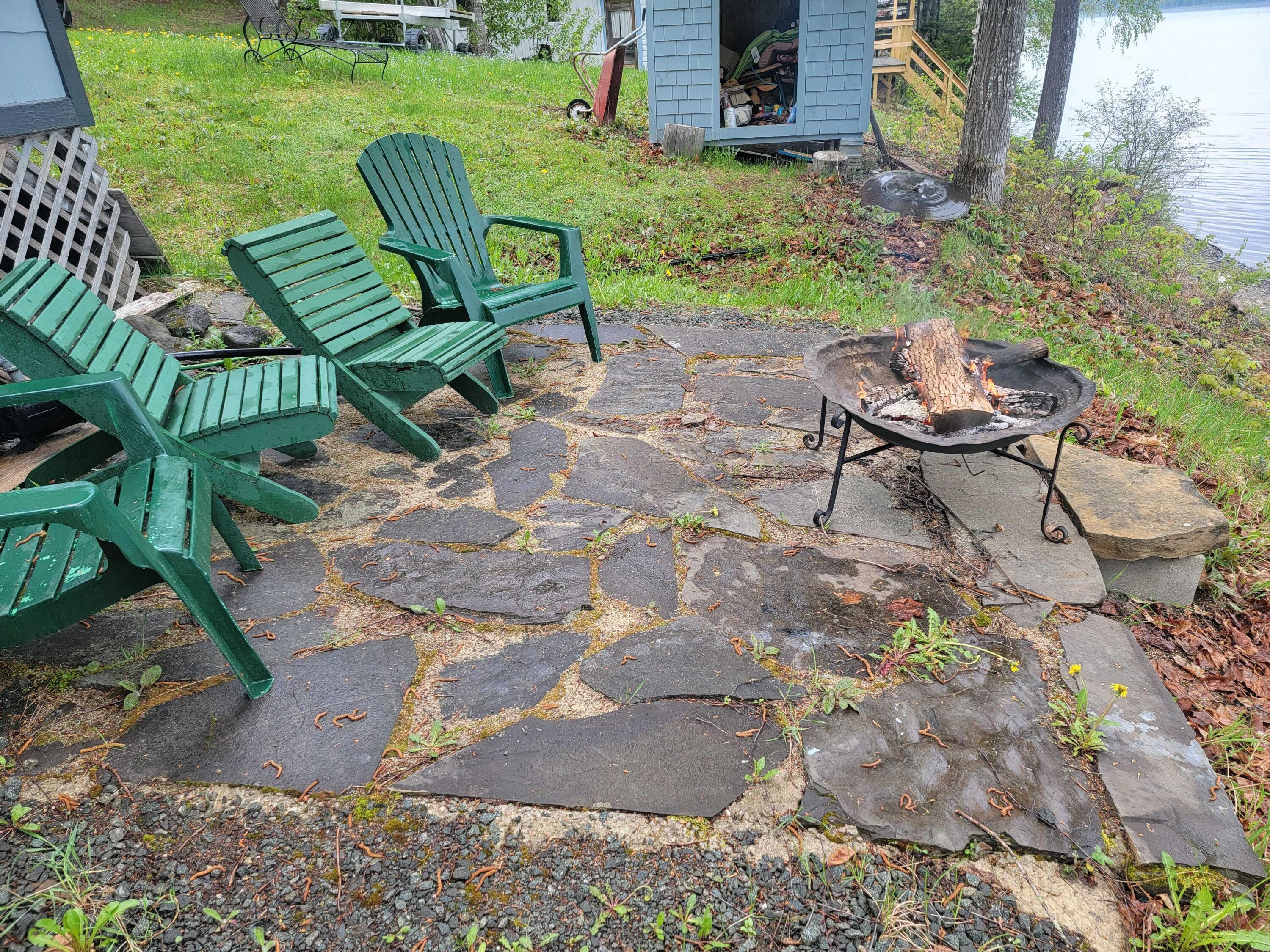 650 W Road Portage Lake, ME 04768 - Photo 8 of 16 20210522_141131.MEDIUM