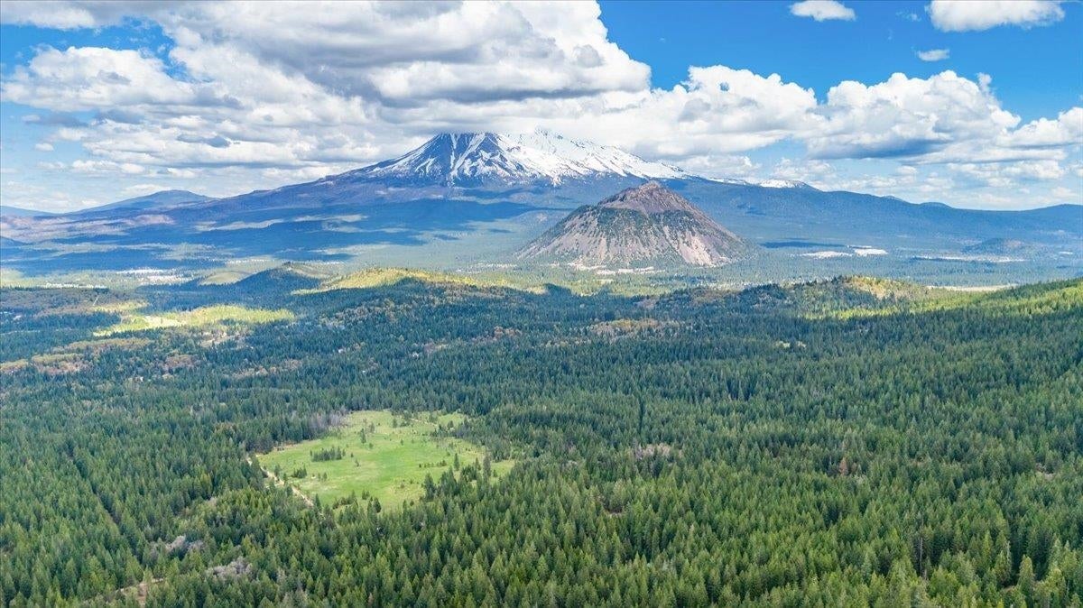 4110 Red Fir Loop Weed, CA 96094 - Photo 18 of 38 Gallery Image 18