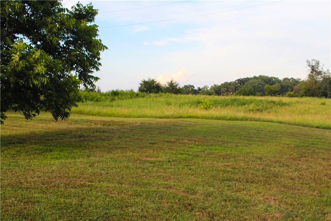757 Belle Shoals Road Pickens, SC 29671 - Photo 8 of 31 A verdant, open lot awaits your vision, bordered by natural grasses and mature trees.