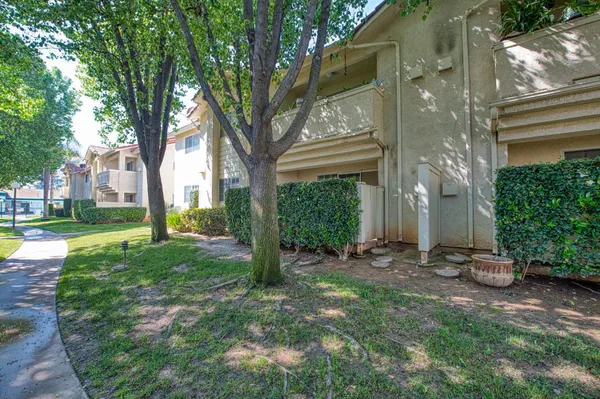 a view of a yard in front of a house with a large tree