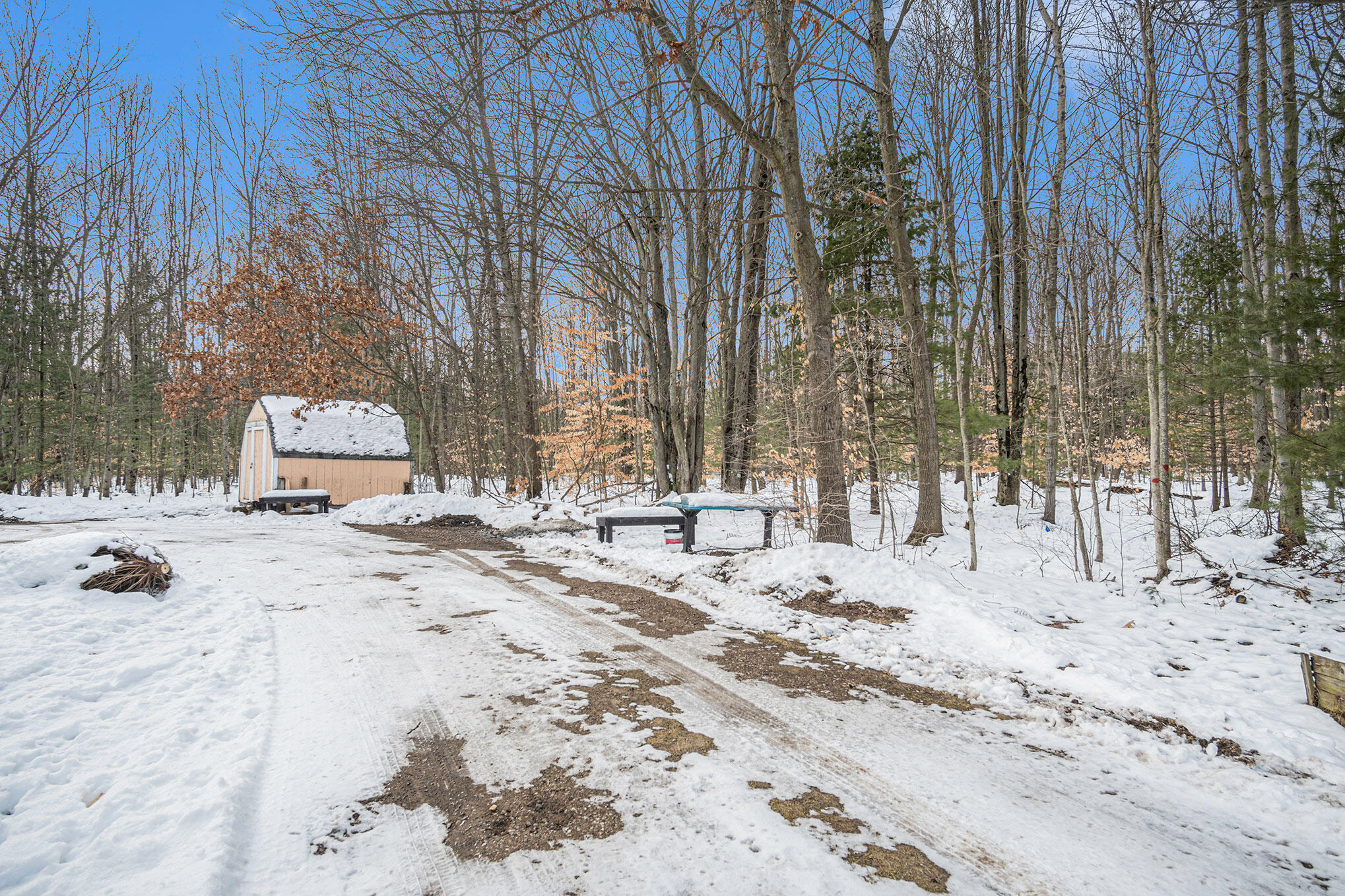6861 Quarterline Road Spring Lake, MI 49456 - Photo 25 of 35 DSC06216