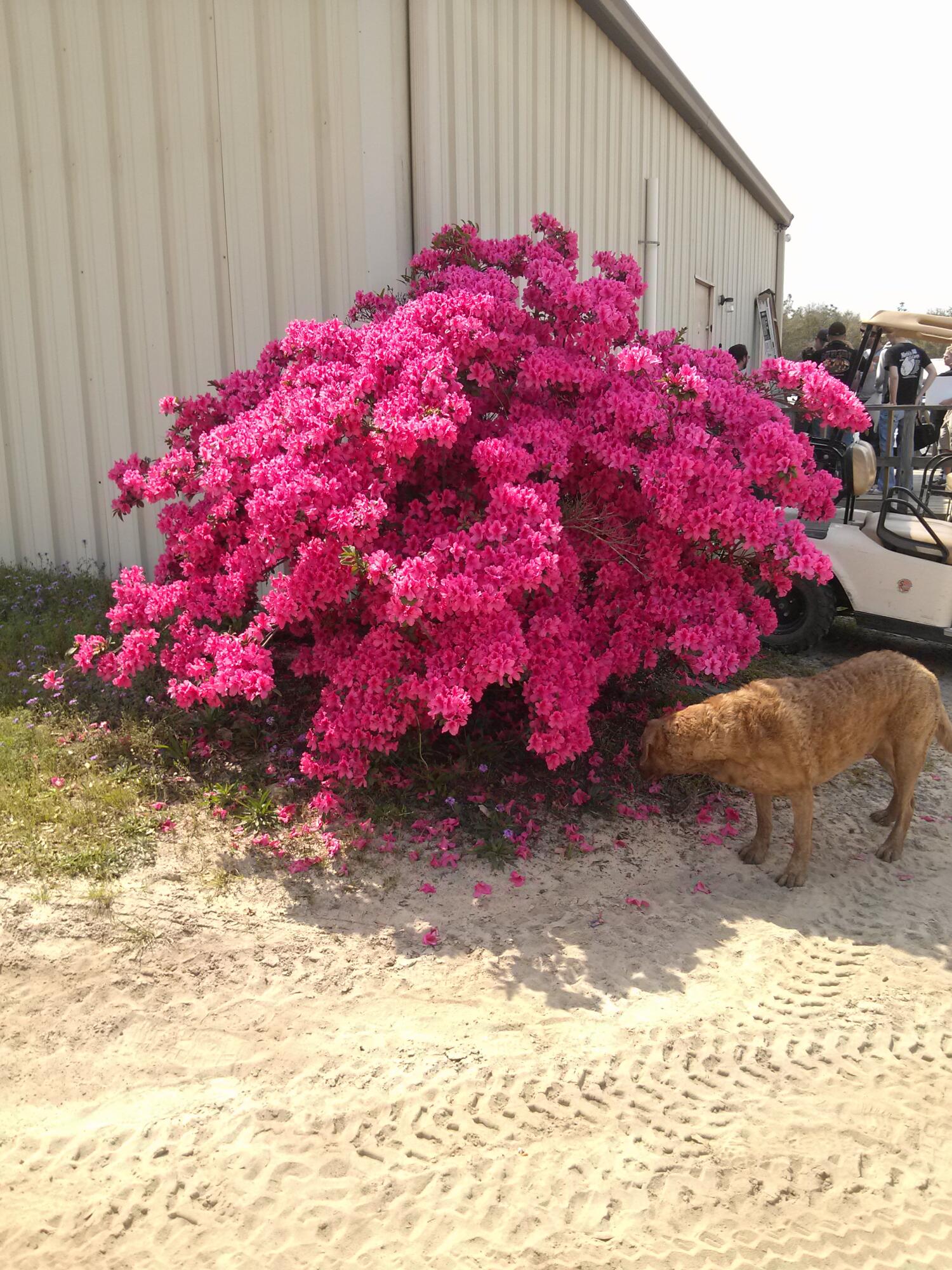 3985 US 90 Crestview, FL 32539 - Photo 7 of 20