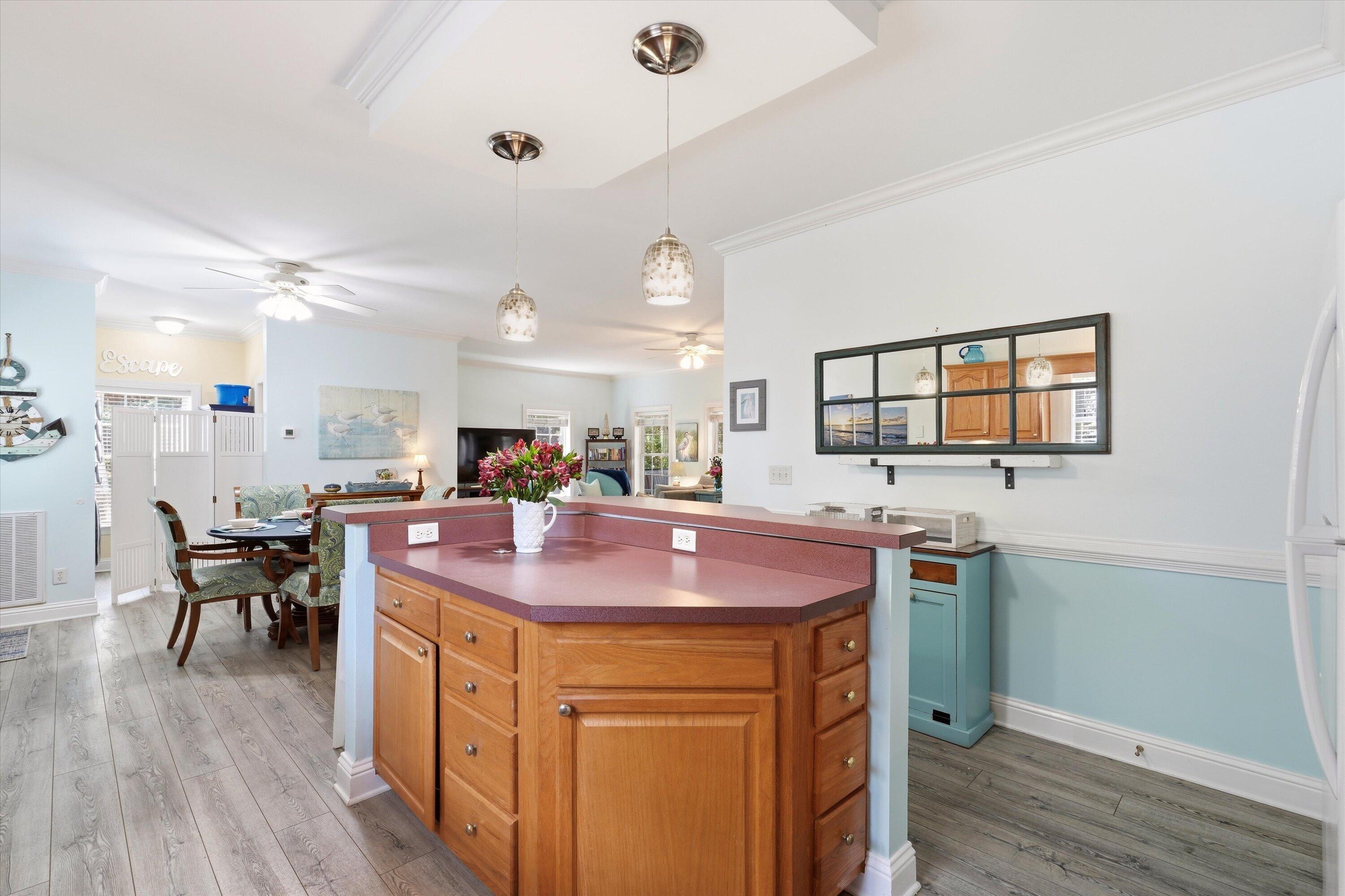 718 Sandpiper Ridge Edisto Beach, SC 29438 - Photo 19 of 47 16-011_DSC09491_with_tv