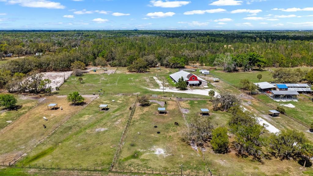3106 Timberlee Road Wimauma, FL 33598 - Photo 11 of 50