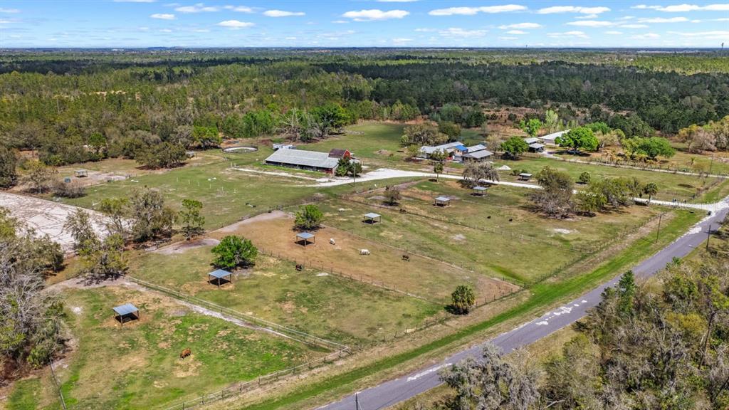 3106 Timberlee Road Wimauma, FL 33598 - Photo 14 of 50