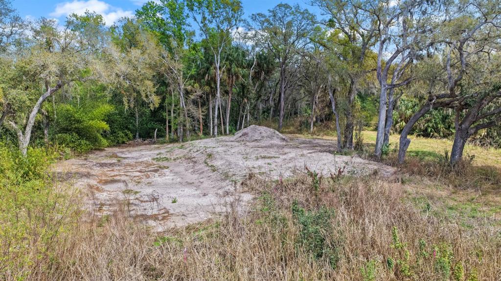 3106 Timberlee Road Wimauma, FL 33598 - Photo 2 of 50